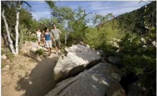 Visita guiada de caminata